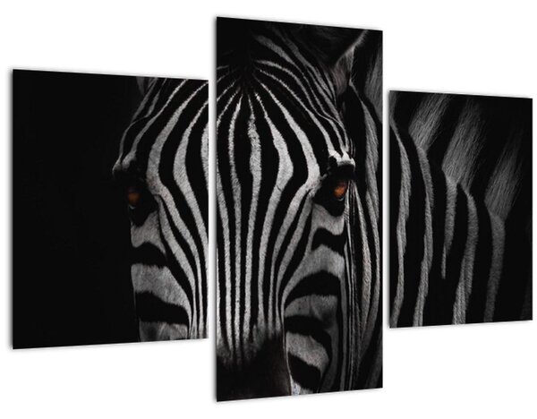 Tablou cu zebră (90x60 cm)