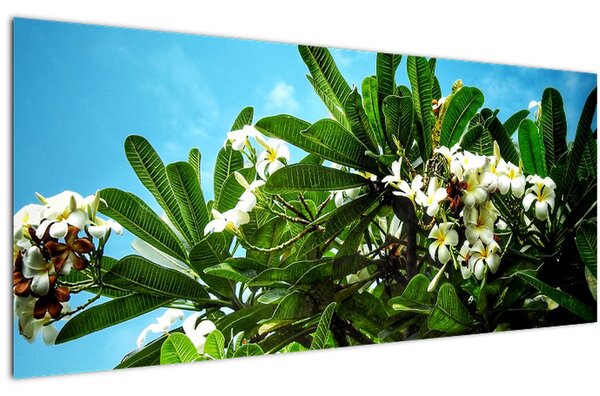 Tablou - Plumeria (120x50 cm)