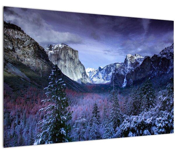 Tablou - Yosemite, USA (90x60 cm)