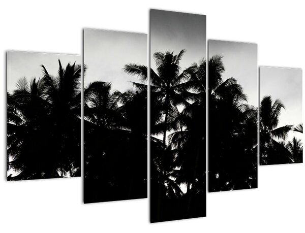 Tablou alb negru - palmieri (150x105 cm)