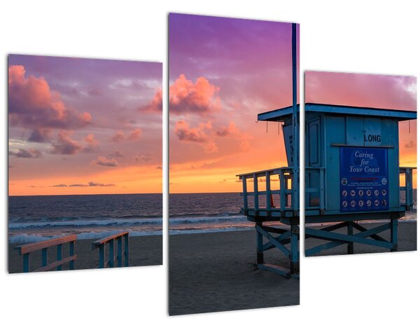 Tablou de pe plaja Santa Monica (90x60 cm)