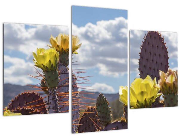 Tablou cu floarea de cactus Opunție (90x60 cm)
