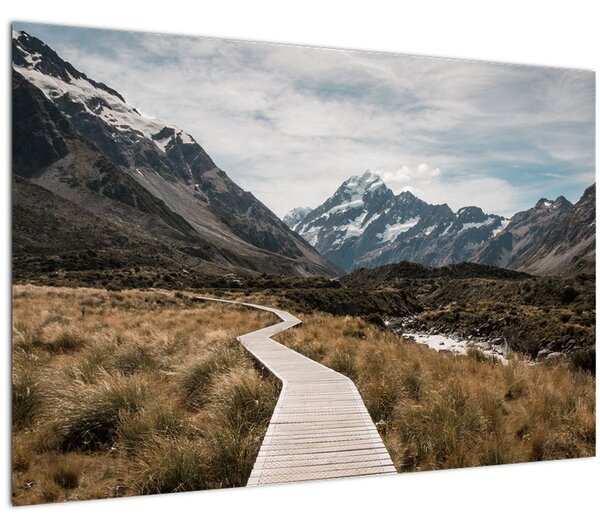 Tablou - Poteca în valea muntelui Mt. Cook (90x60 cm)