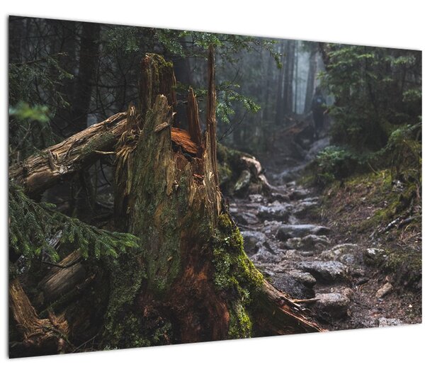 Tablou - În pădure (90x60 cm)