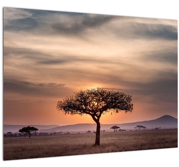 Tablou apusului de soare în Tanzania (70x50 cm)