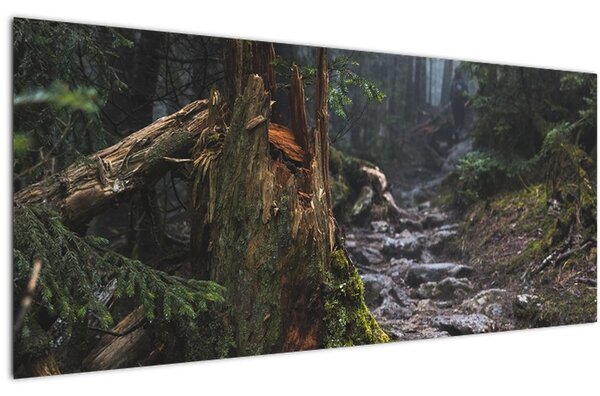 Tablou - În pădure (120x50 cm)