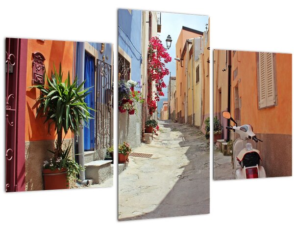 Tablou cu strada din Sardinia (90x60 cm)