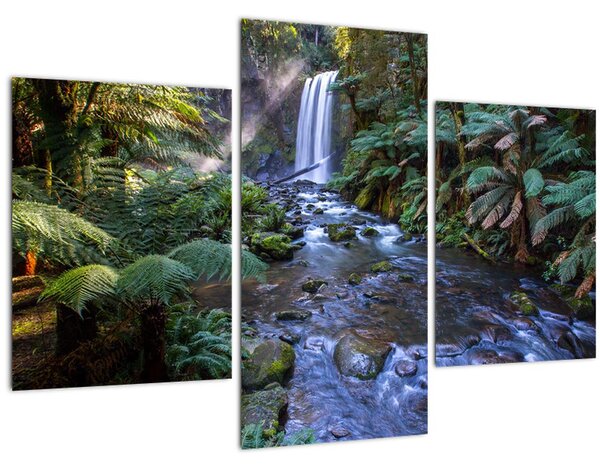 Tablou cu pădurea ploilor din Austalia (90x60 cm)