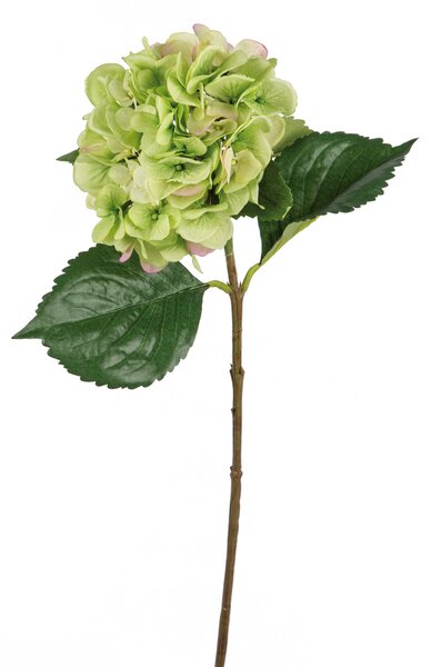 Floare artificiala hortensie, Fibre artificiale, Verde, 71 cm