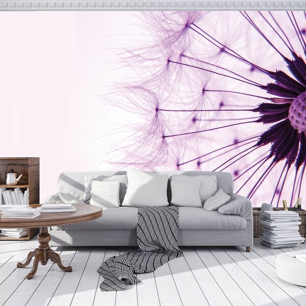 Fototapet - Păpădie - violetă (254x184 cm)