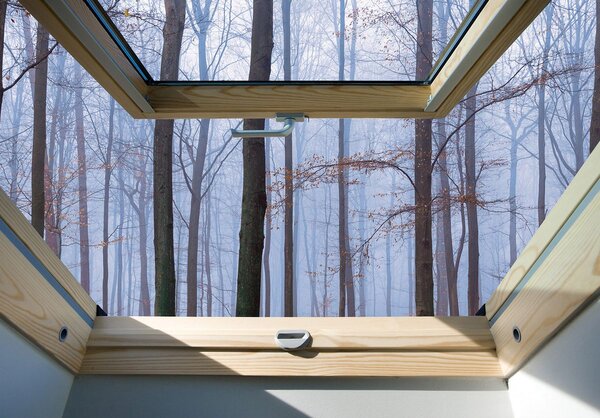 Fototapet - Privire din geam spre păduri în ceață (254x184 cm)