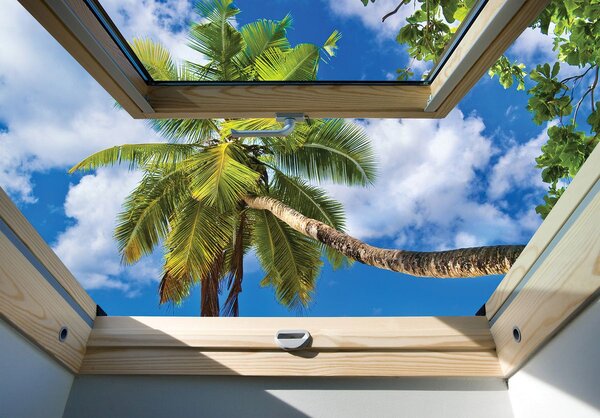 Fototapet - Privire din geam spre un palmier (254x184 cm)
