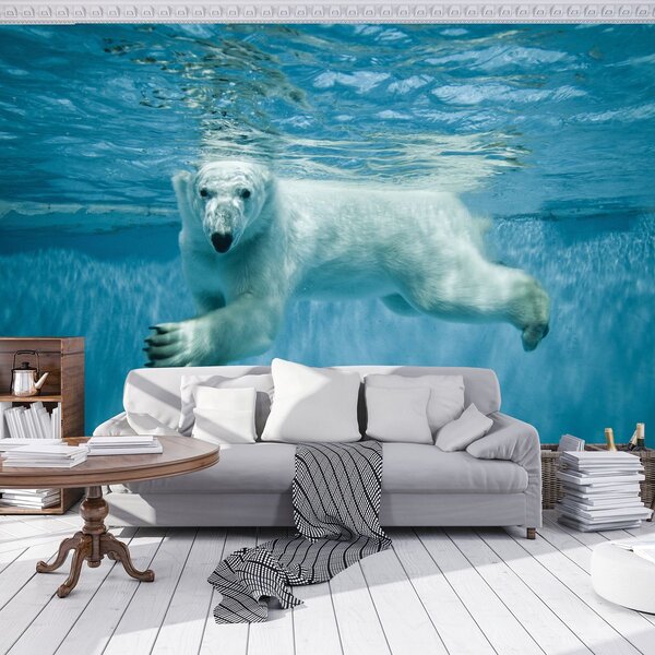 Fototapet - Ursul polar (152,5x104 cm)