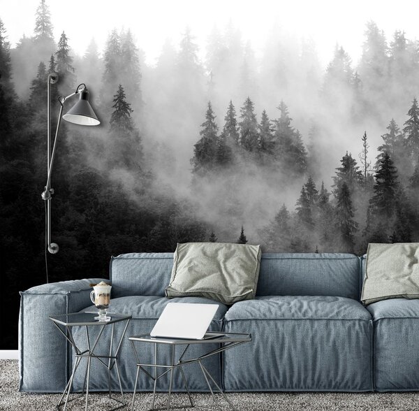 Fototapet - Pădurea în ceață (254x184 cm)