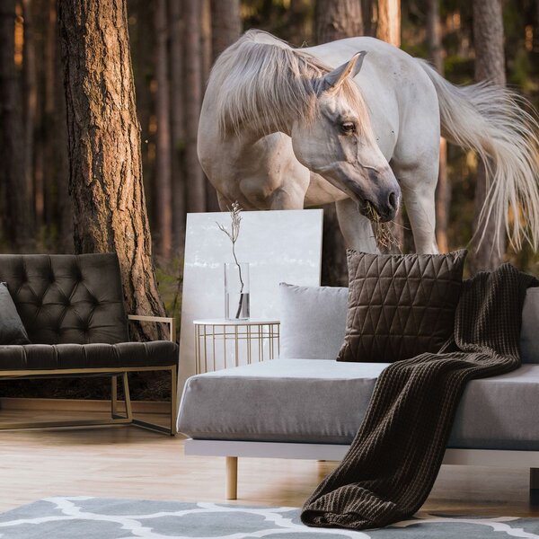 Fototapet - Calul alb în pădure (152,5x104 cm)