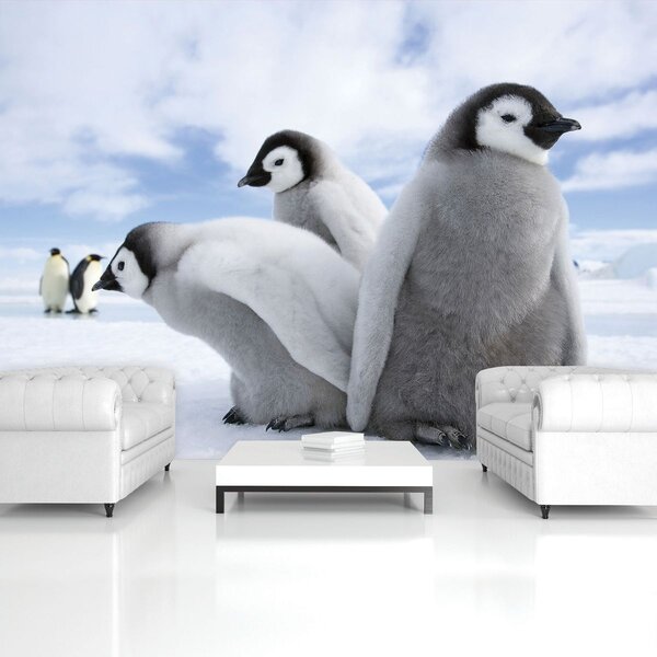 Fototapet - Pinguini (254x184 cm)