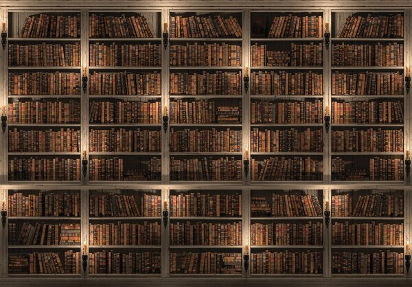 Fototapet - Biblioteca plină de cărți (152,5x104 cm)