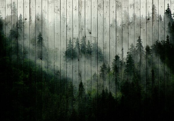 Fototapet - Ceața de pădure (254x184 cm)