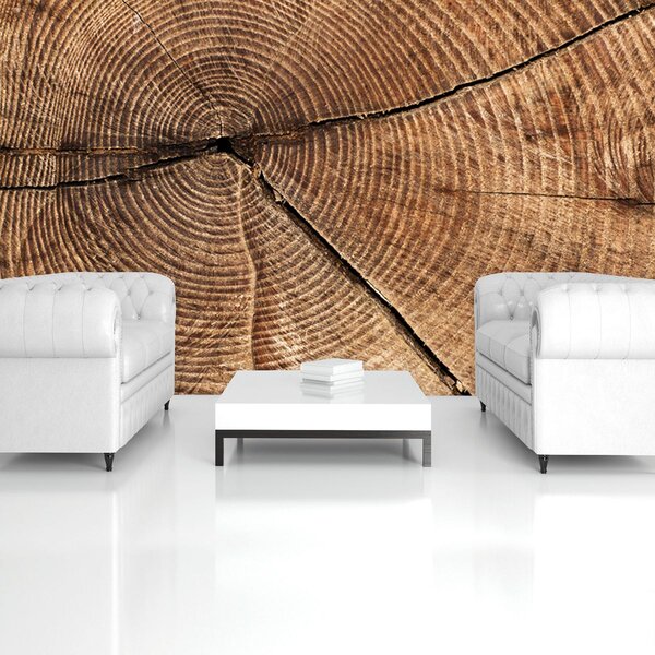 Fototapet - Secțiunea prin trunchiul de copac (152,5x104 cm)