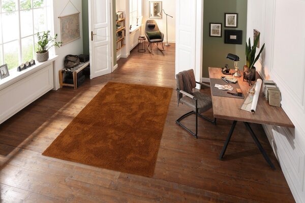Covor Shaggy Desner maro, 200/200 cm