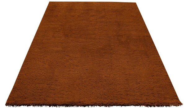 Covor Shaggy Desner maro, 200/200 cm