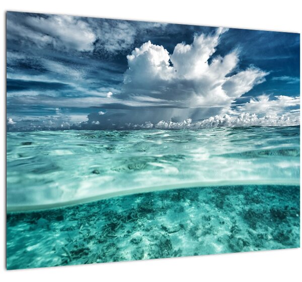 Tablou - privire sub nivelul mării (70x50 cm)
