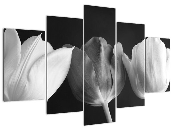 Tablou - Lalele alb negre (150x105 cm)