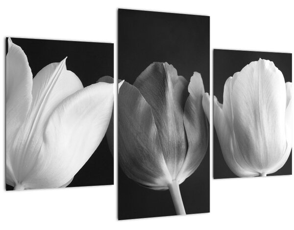 Tablou - Lalele alb negre (90x60 cm)