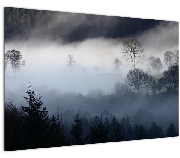 Tablou cu ceță deasupra pădurii (90x60 cm)