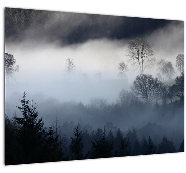 Tablou cu ceță deasupra pădurii (70x50 cm)