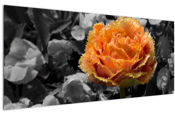 Tablou cu floare (120x50 cm)