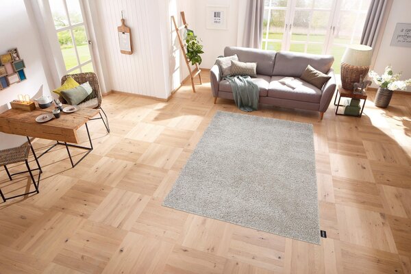 Covor Shaggy Soft gri, 120/180 cm