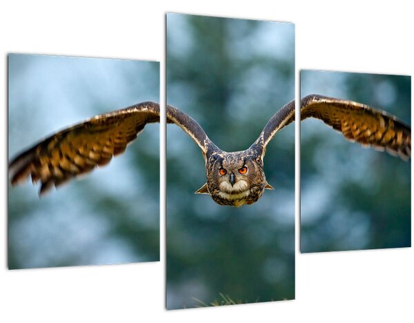 Tablou -Bufnita în zbor (90x60 cm)