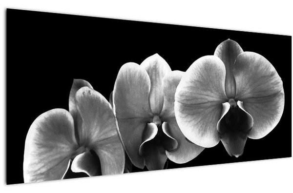 Tablou floare de orhidee (120x50 cm)