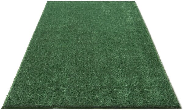 Covor Shaggy Cosima verde muschi, 160/230 cm
