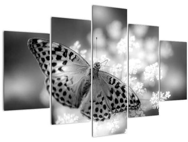 Tablou - Detailu cu fluture care polenizează floare (150x105 cm)