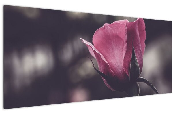 Tablou - Detaliu florii de trandafir (120x50 cm)