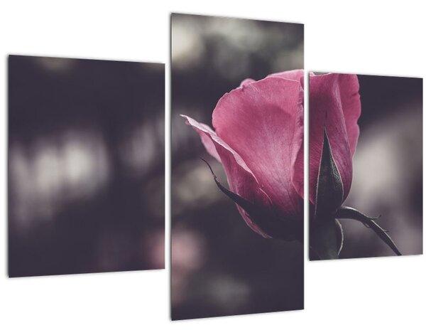 Tablou - Detaliu florii de trandafir (90x60 cm)