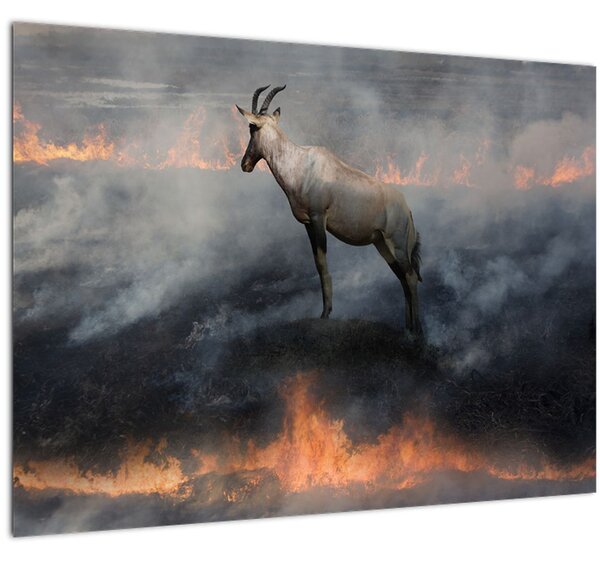 Tablou cu capră de munte în foc (70x50 cm)