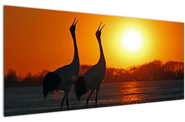 Tablou cu păsări în apus de soare (120x50 cm)