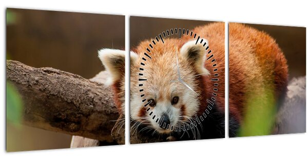 Tablou cu panda roșie (cu ceas) (90x30 cm)