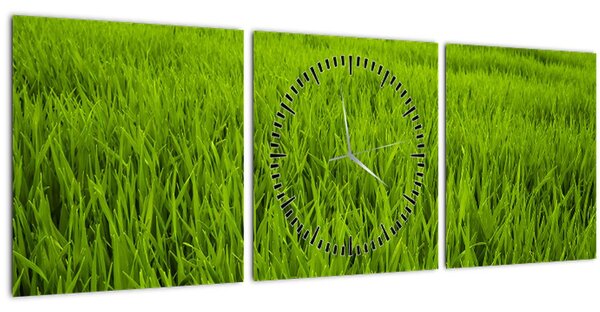 Tablou cu iaraba (cu ceas) (90x30 cm)