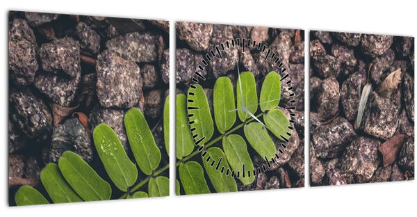 Tablou cu planta verde (cu ceas) (90x30 cm)