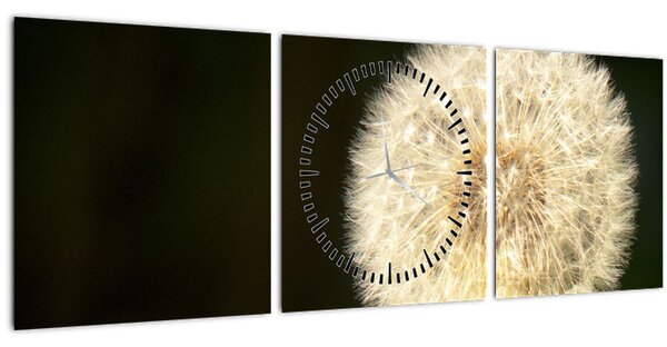 Tablou cu păpădie gri (cu ceas) (90x30 cm)