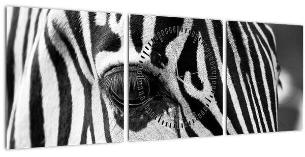 Tablou cu zebră (cu ceas) (90x30 cm)