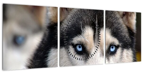 Tablou cu câinele husky (cu ceas) (90x30 cm)