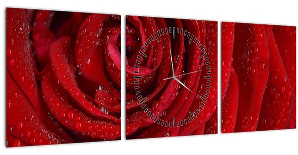 Tablou - detaliu de trandafir (cu ceas) (90x30 cm)