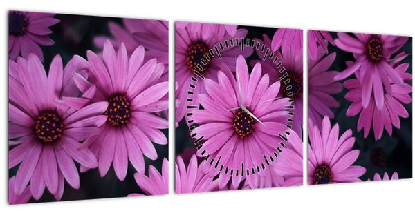 Tablou cu florile roz (cu ceas) (90x30 cm)