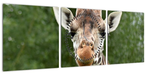 Tablou cu girafa (cu ceas) (90x30 cm)