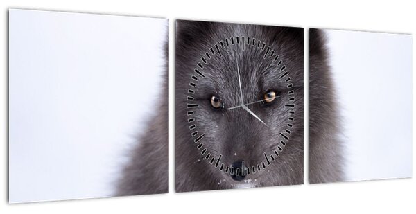 Tablou cu vulpe polară (cu ceas) (90x30 cm)